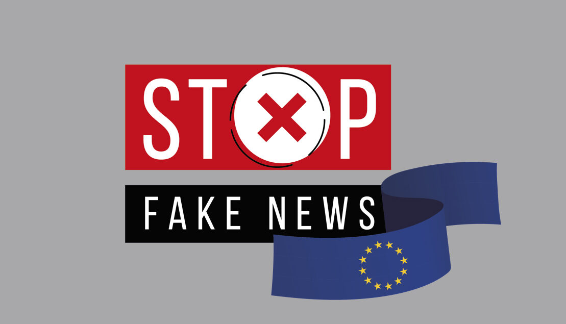 Stop fake news_Formazione internazionale